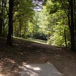 Knob Hill Disc Golf Course