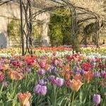 Cheekwood Botanical Gardens & Estate