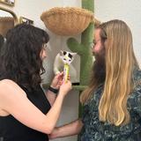 Coastal Cat Cafe
