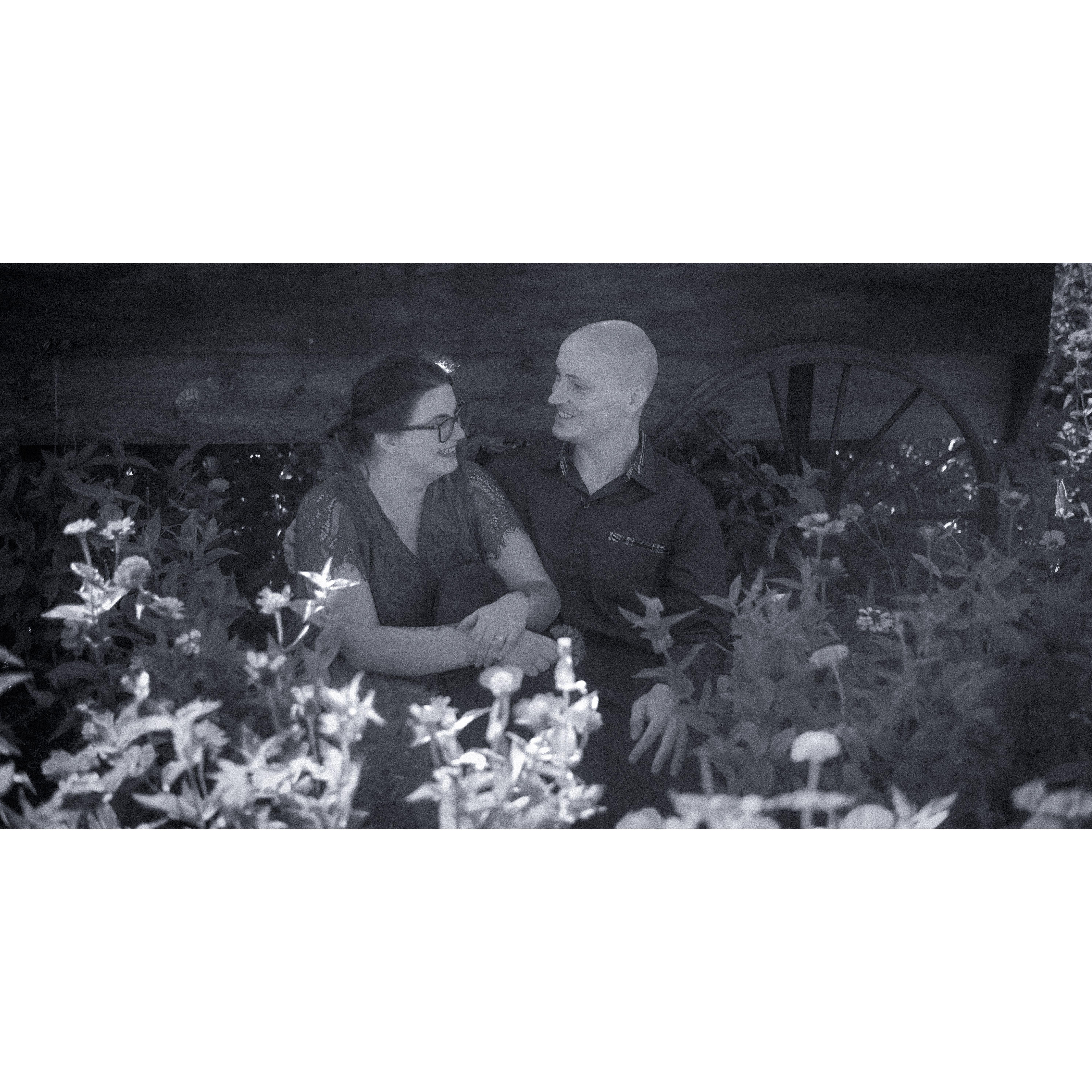 #EngagementShoot - @Center Grove Orchard - @Dutchmans Photography