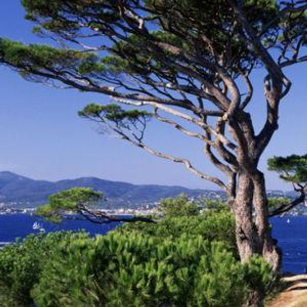 Honeymoon Activity - Cycling in Saint-Tropez