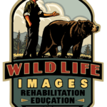 Wildlife Images Rehabilitation and Education Center