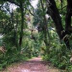 Guana Matanzas Estuary Reserve