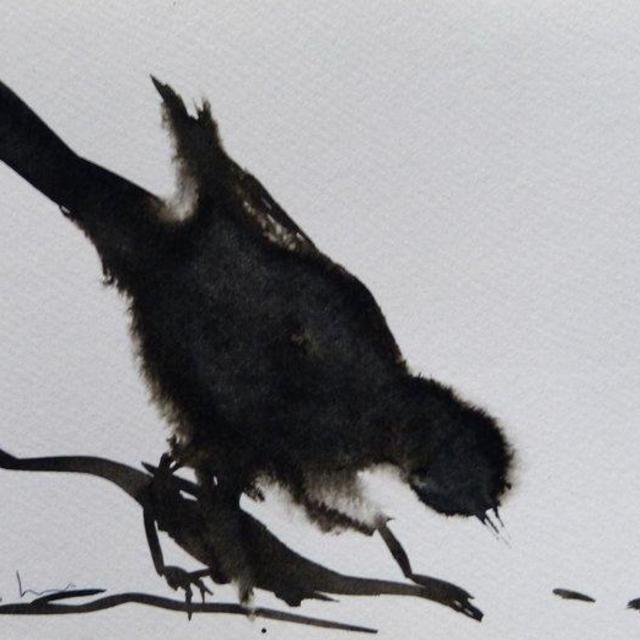 Little bird 20-3