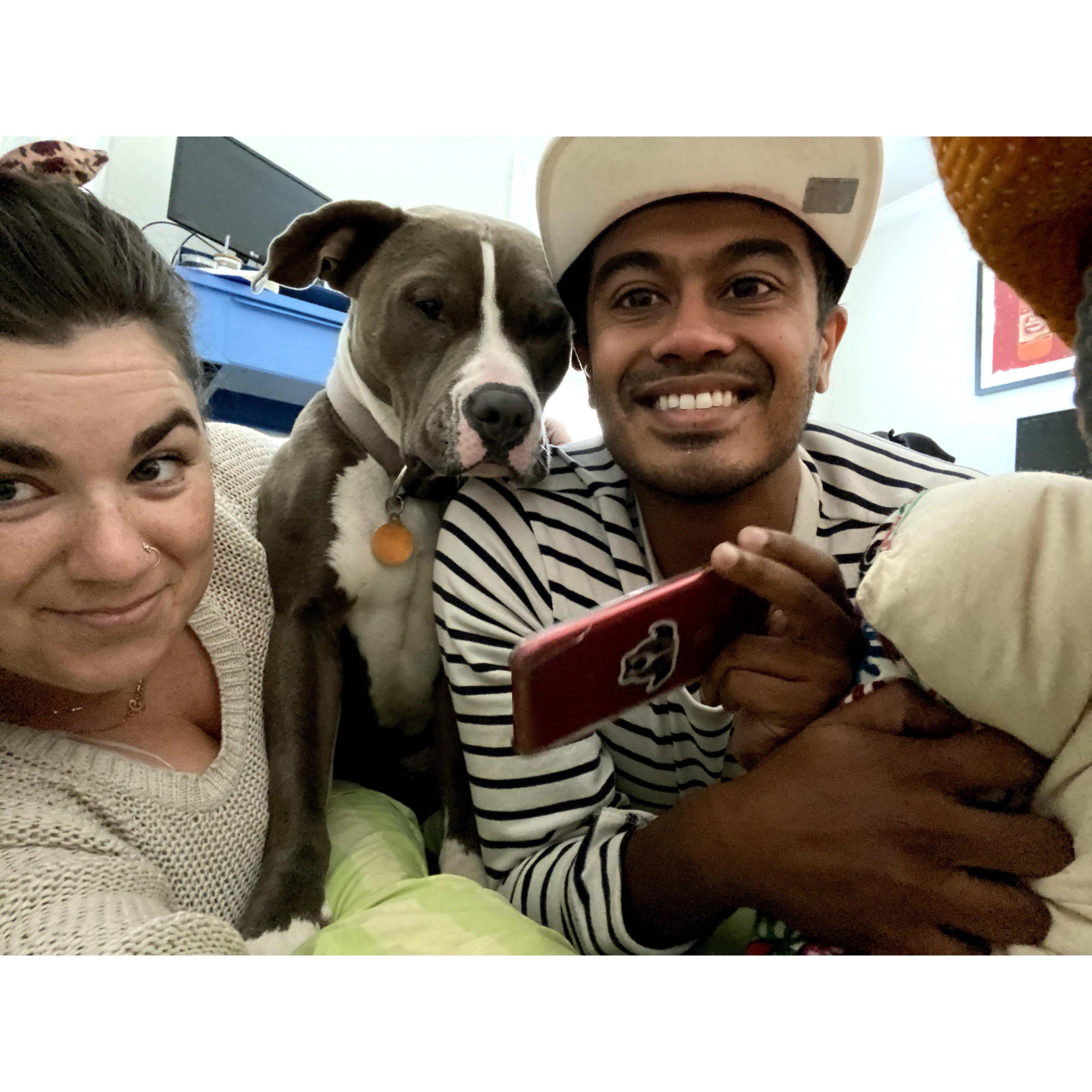 Crazy dog parents in the making