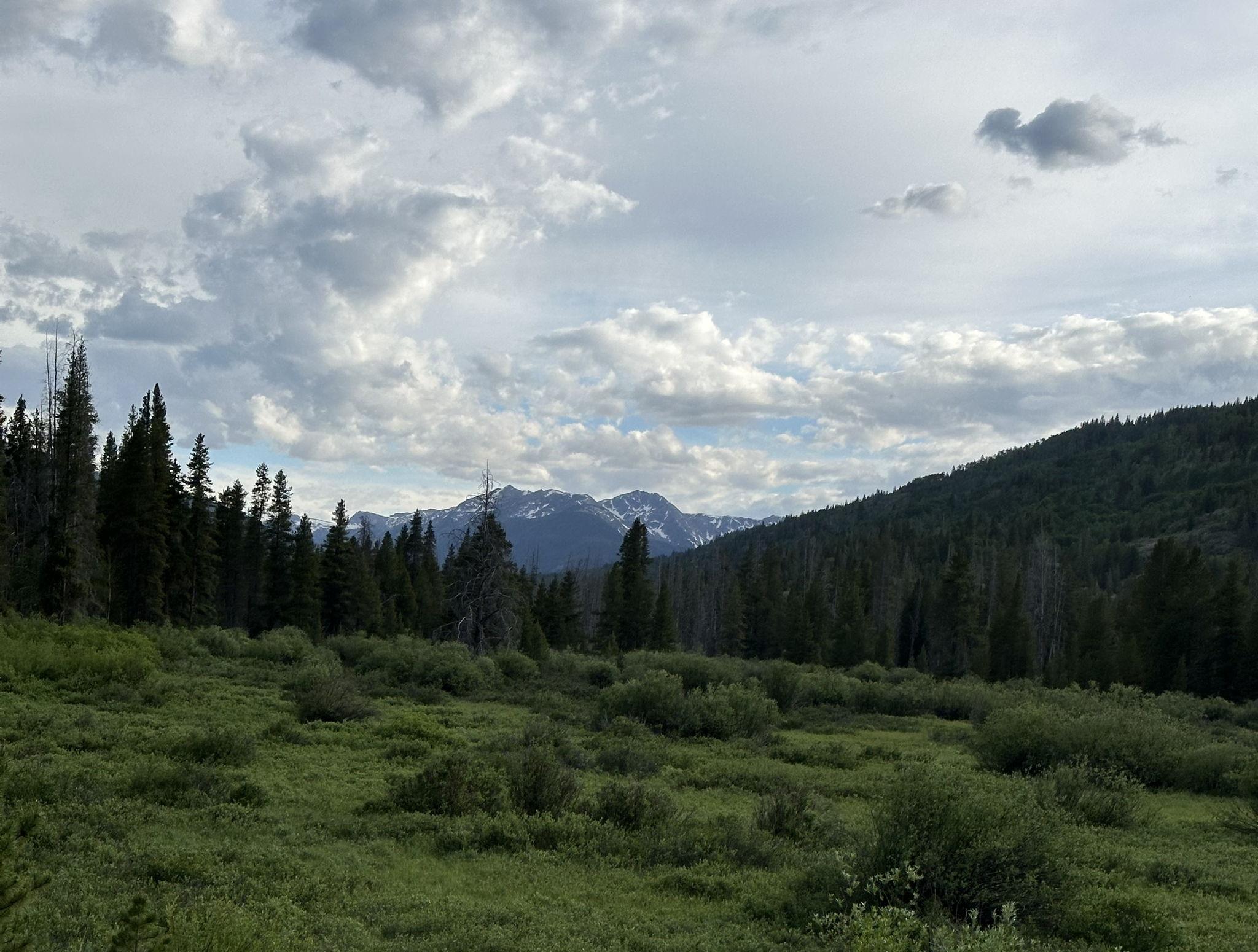 The Wedding Website of Jordan Herren and Aidan Leclercq