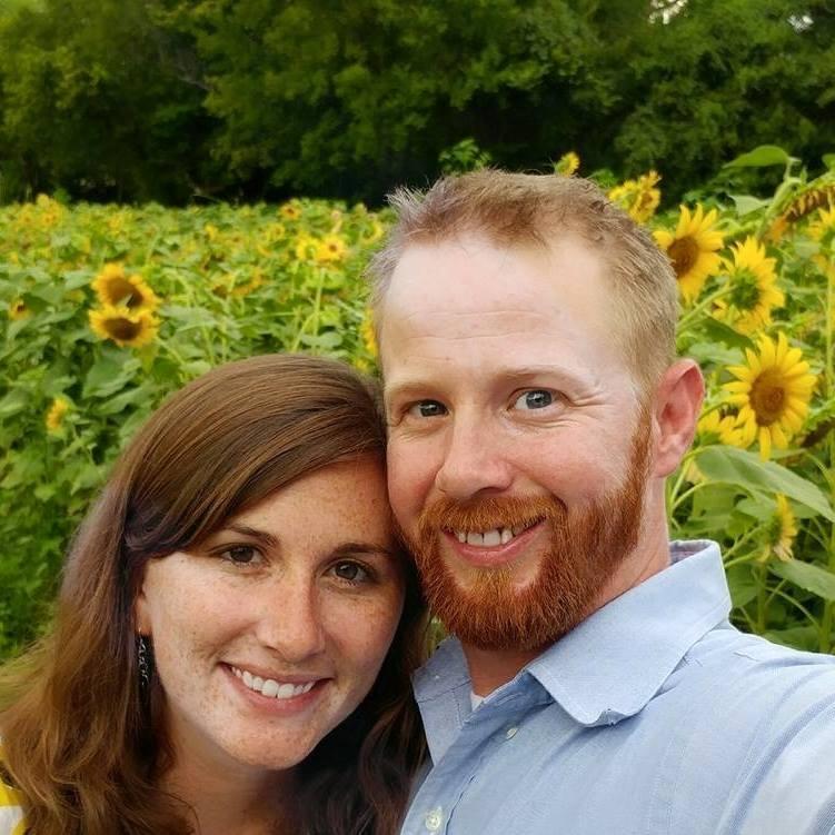 Sunflower fields in Knoxville