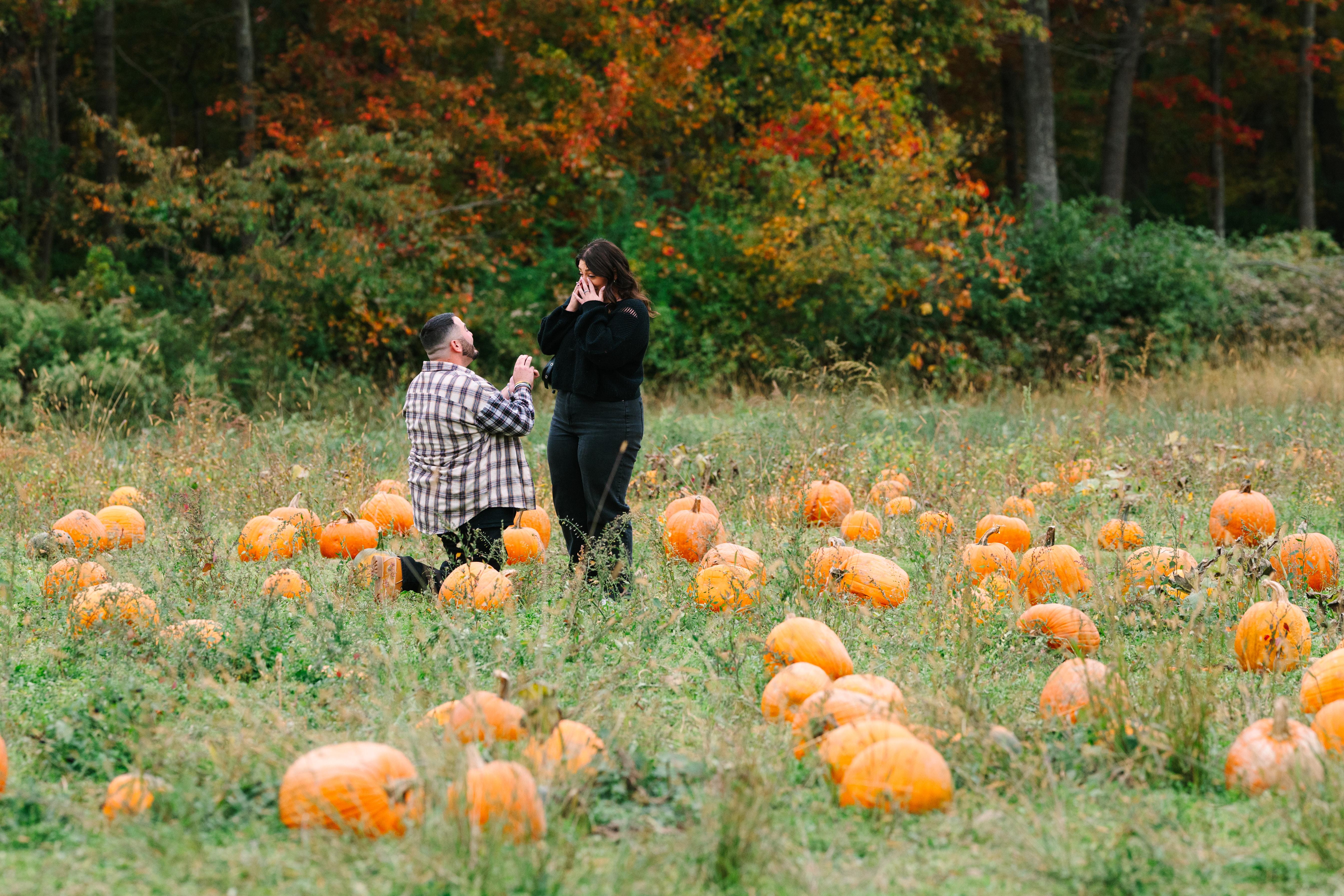 The Wedding Website of Derek Degnan and Ava Mattei