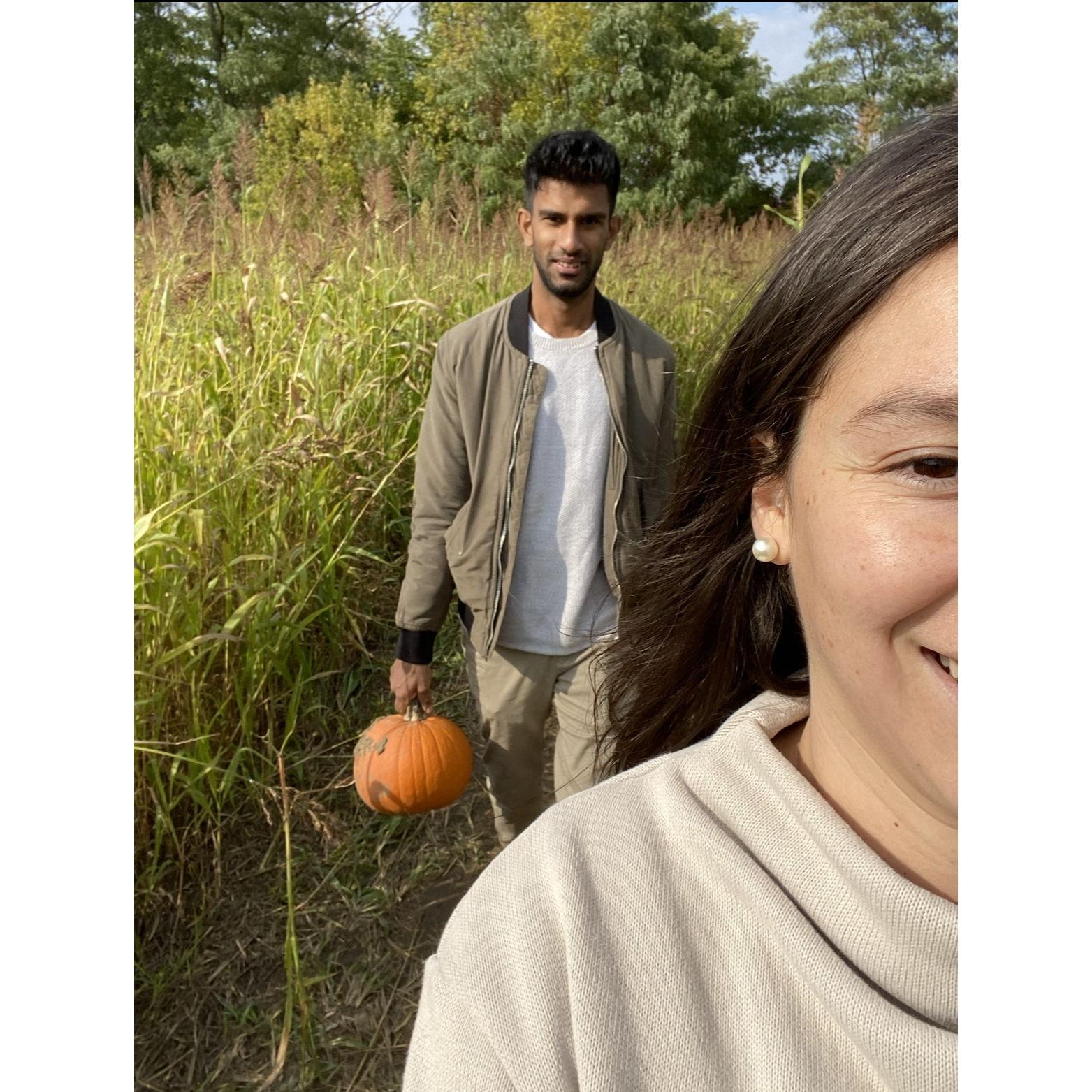 Pumpkin Picking.