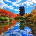 東寺(To-ji Temple)
