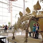 Science Museum of Minnesota