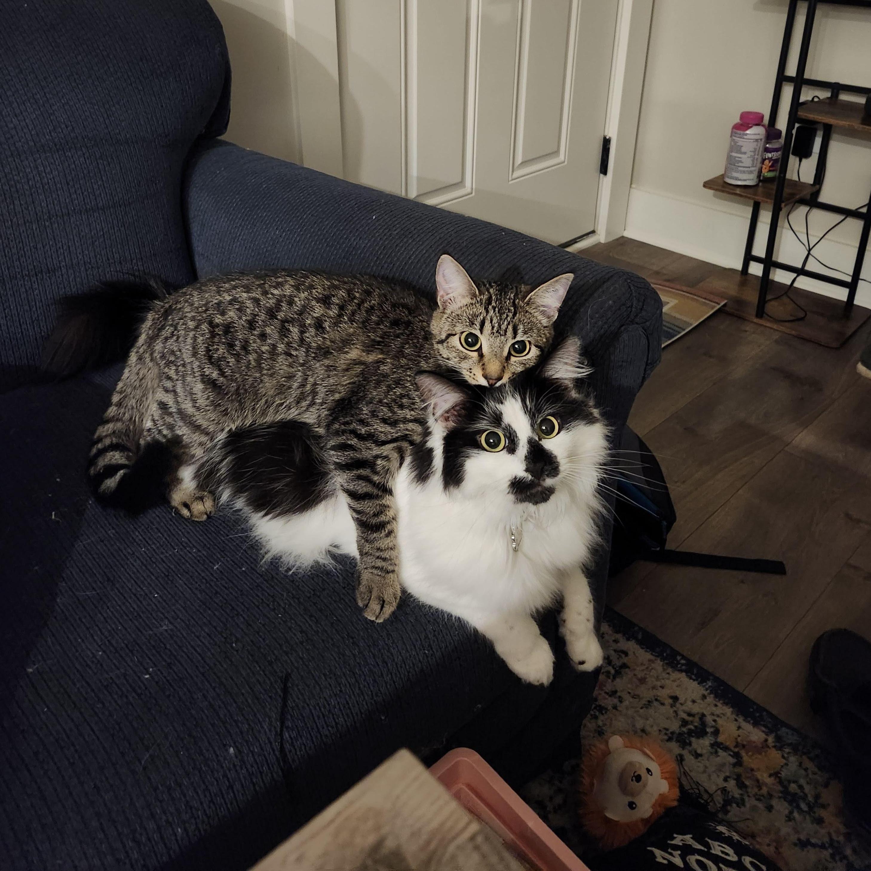 2/3 babies