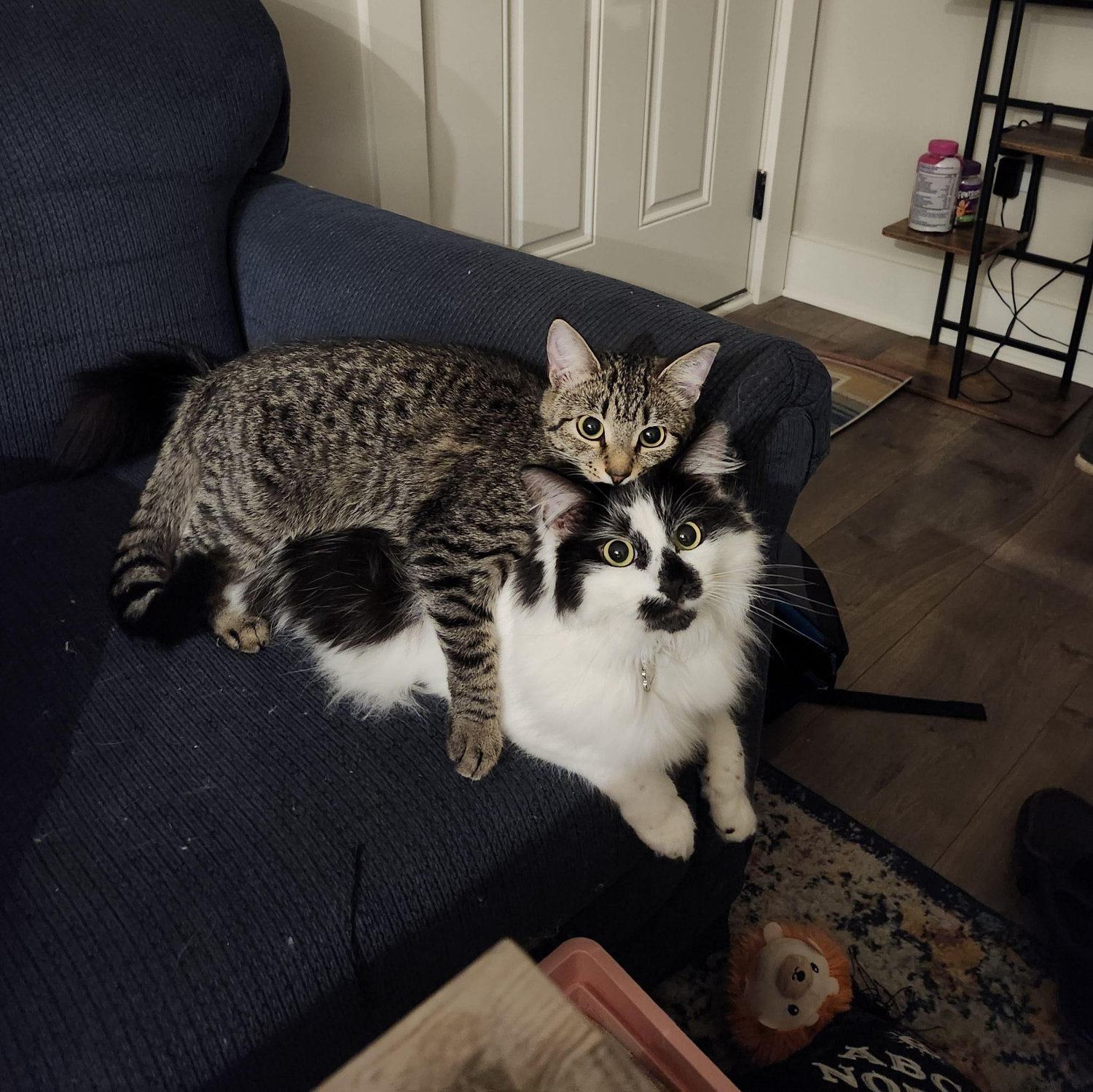 2/3 babies