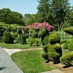 Green Animals Topiary Gardens