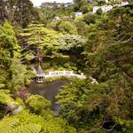 Wellington Botanic Garden