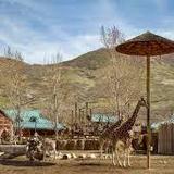Utah's Hogle Zoo