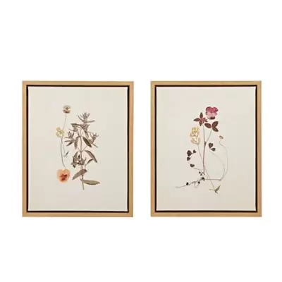 Martha Stewart French Herbarium Framed 17.84-Inch x 21.84-Inch Canvas Wall Art in Multi (Set of 2)