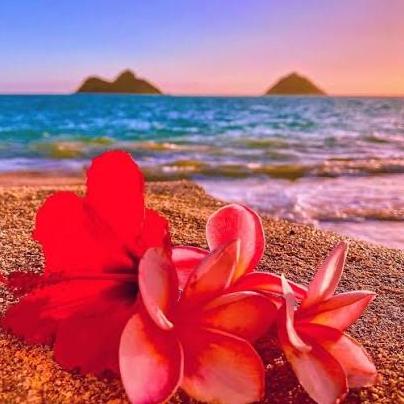 Honeymoon in Hawaii