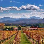 Afton- Wineries and Breweries