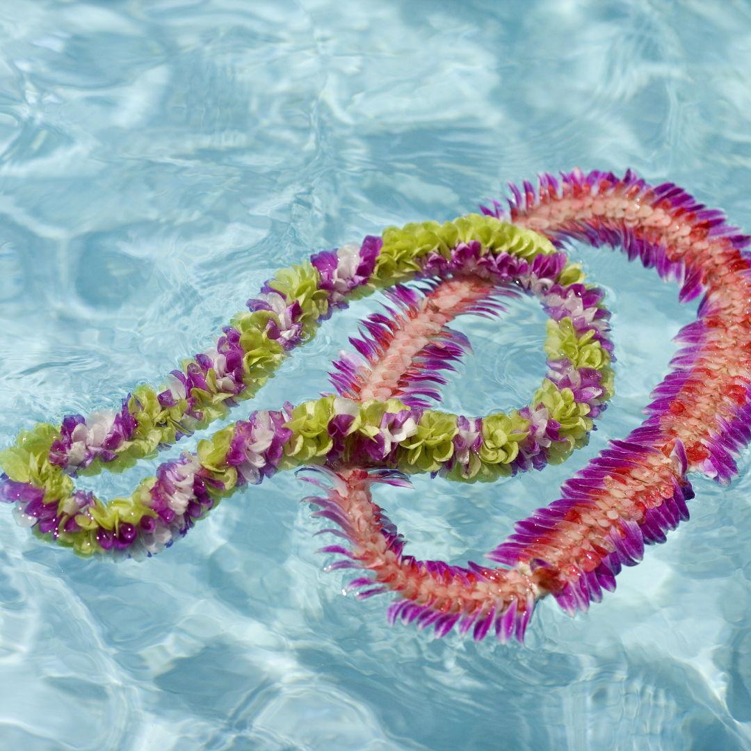 Each guest is really important. We will welcome you with Hawaii leis
