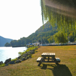 Donahue Memorial Park