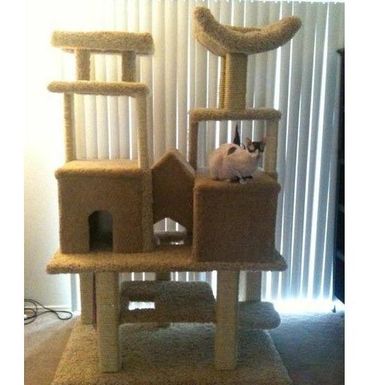 We built our kitties the most amazing cat tree dubbed 'The Catsle' (Cat Castle)