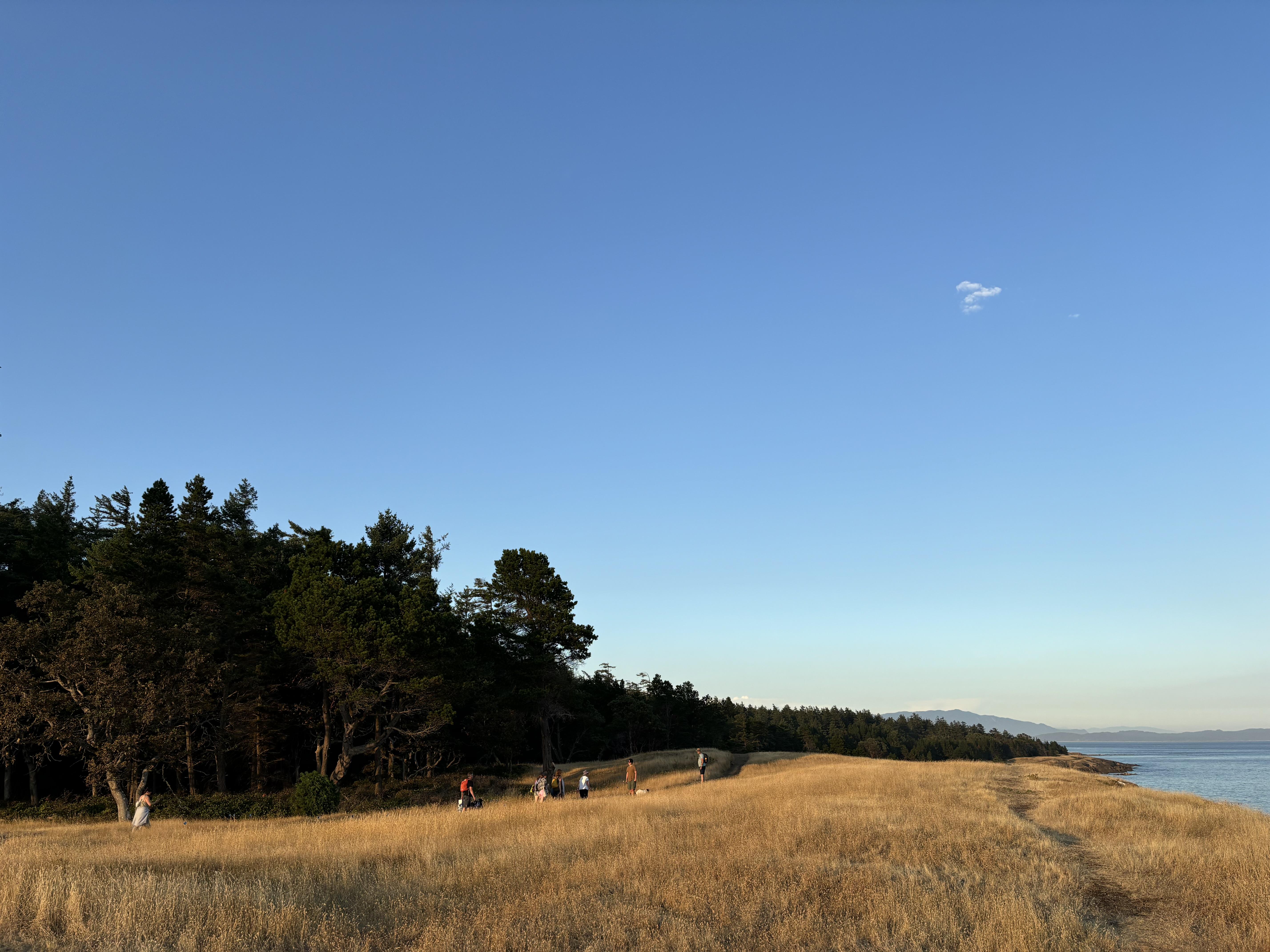 The Wedding Website of Rachel Blackmore and Justin Justiniano