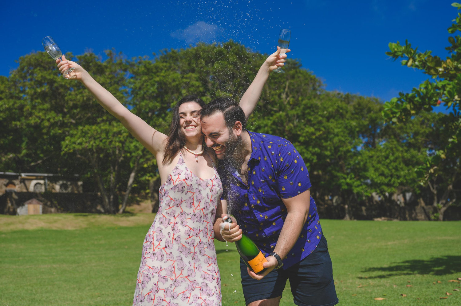 The Wedding Website of Lindsey Aliksanyan and Juliana Shinn