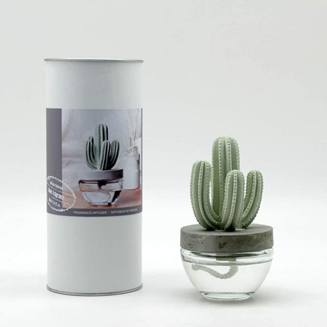 Pretty Valley Home Gypsum Cactus Fragrance Diffuser-Cutting Grass