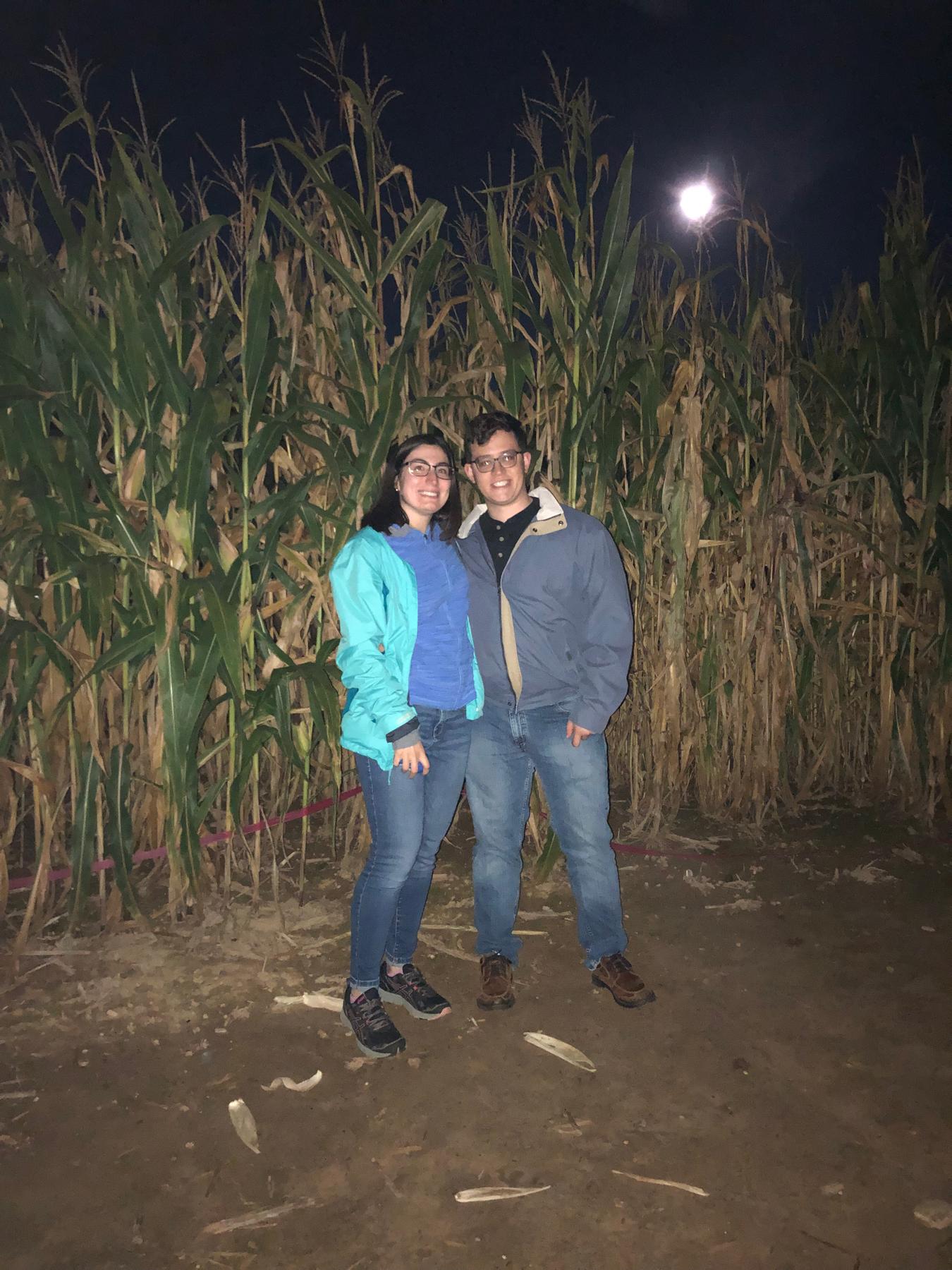 The Amazing Maize Maze in October 2019