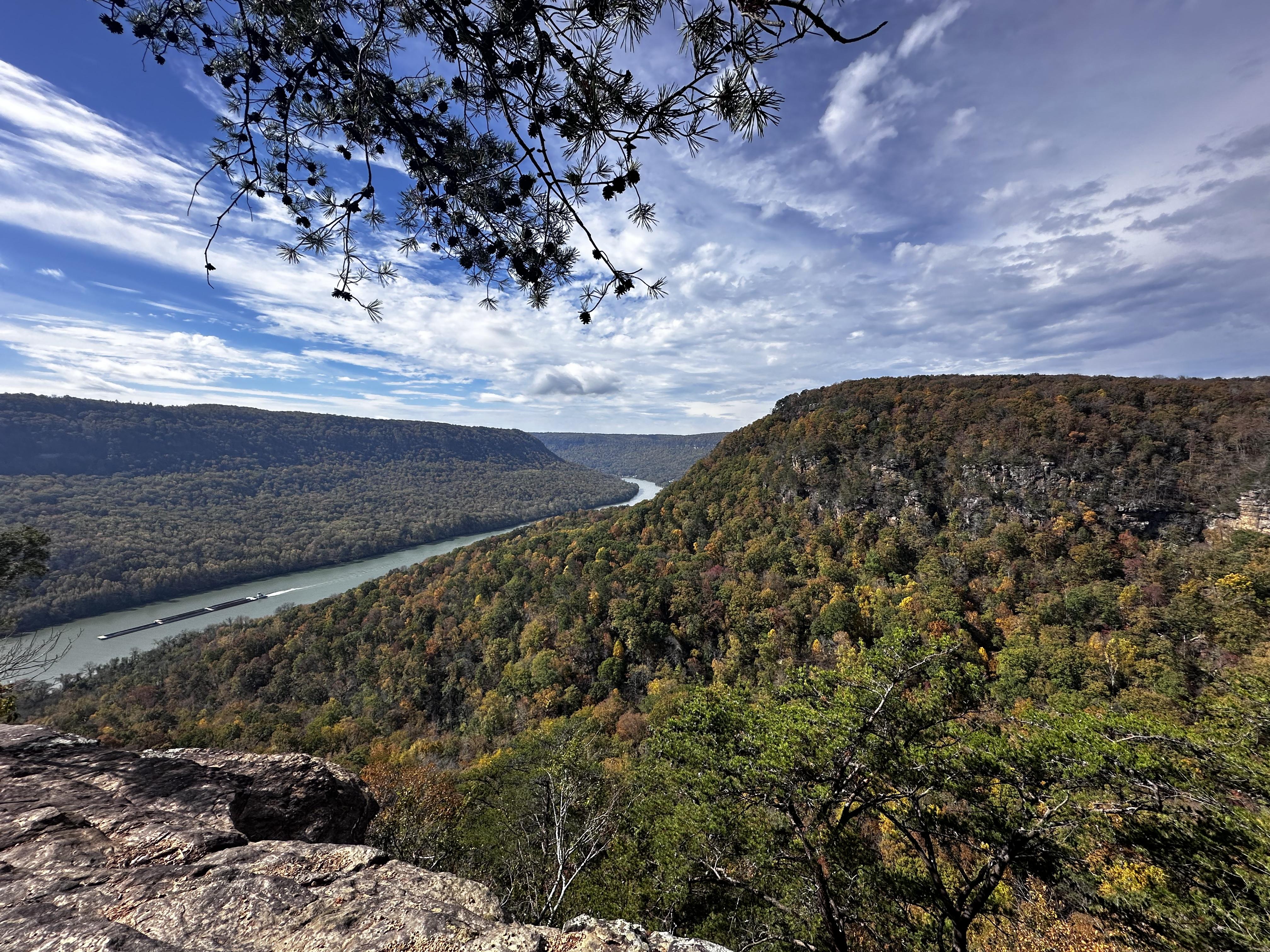 The Wedding Website of Bailey Gale and Zachary Shareef