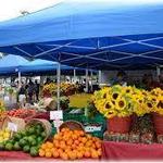 St. Petersburg Saturday Morning Market Downtown St Pete
