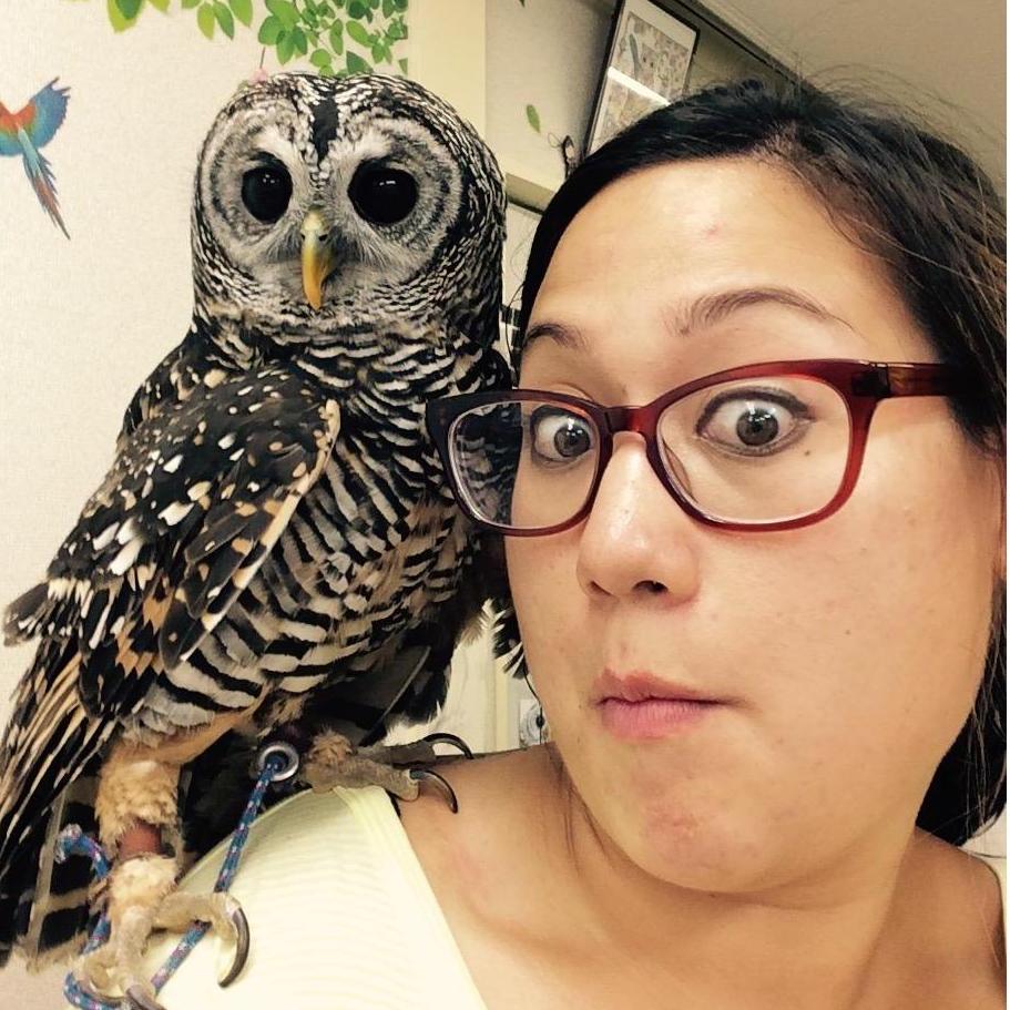 Karina: "What should I do while I'm by myself in Tokyo?"
Uchenna: "Go to an Owl Cafe."
(July 2016)