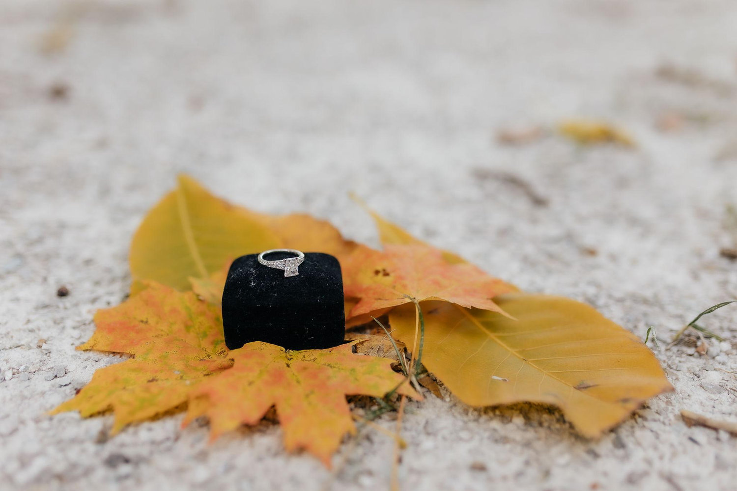 The Wedding Website of Judith Irene and Dyson Jay