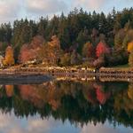 Bainbridge Island