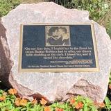 Obama Kissing Rock