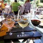 Karma Vineyards