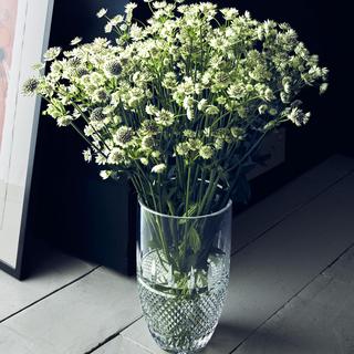 Irish Lace Vase