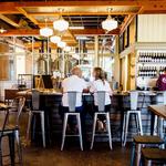 Taproot Brewing Co.