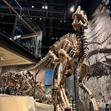 Natural History Museum of Utah