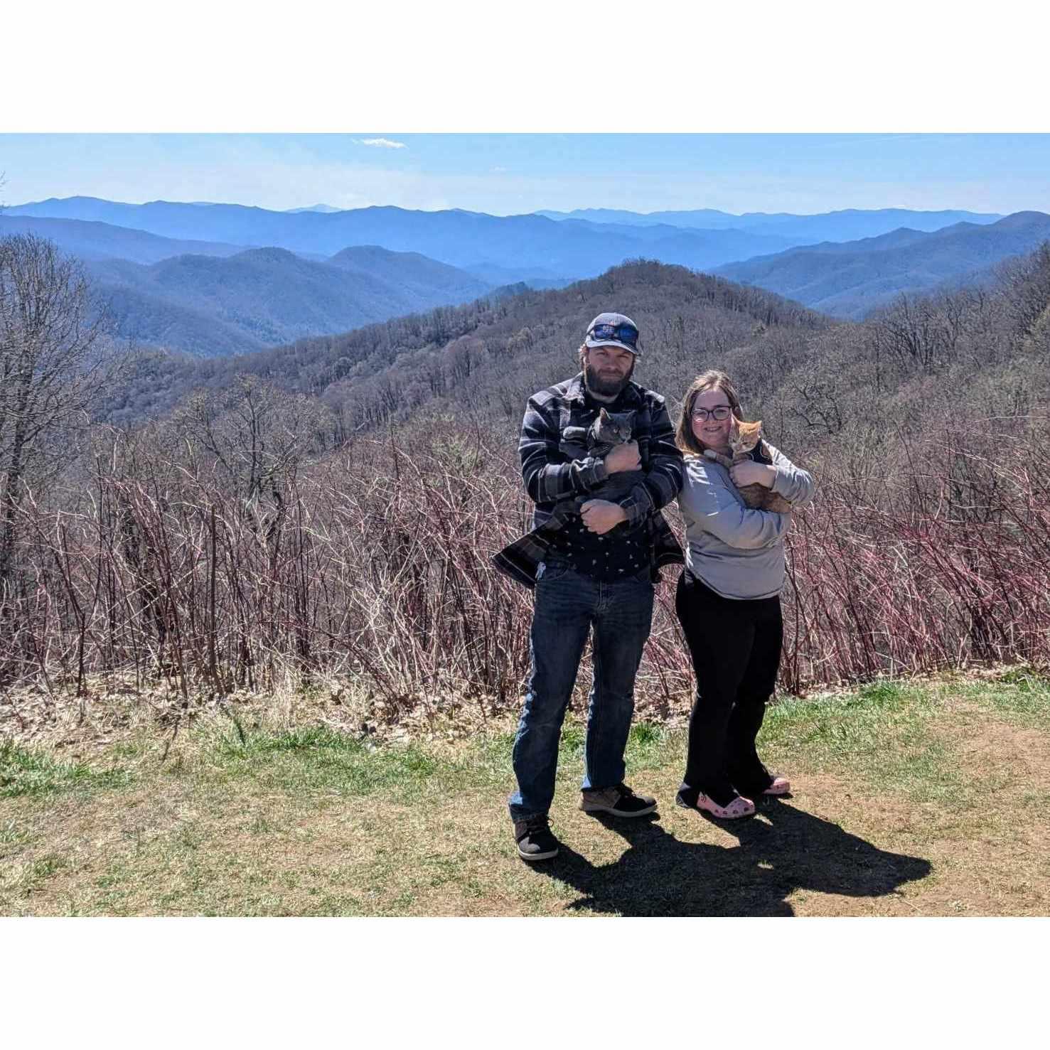 Their first family picture and taking the cats camping for the first time!