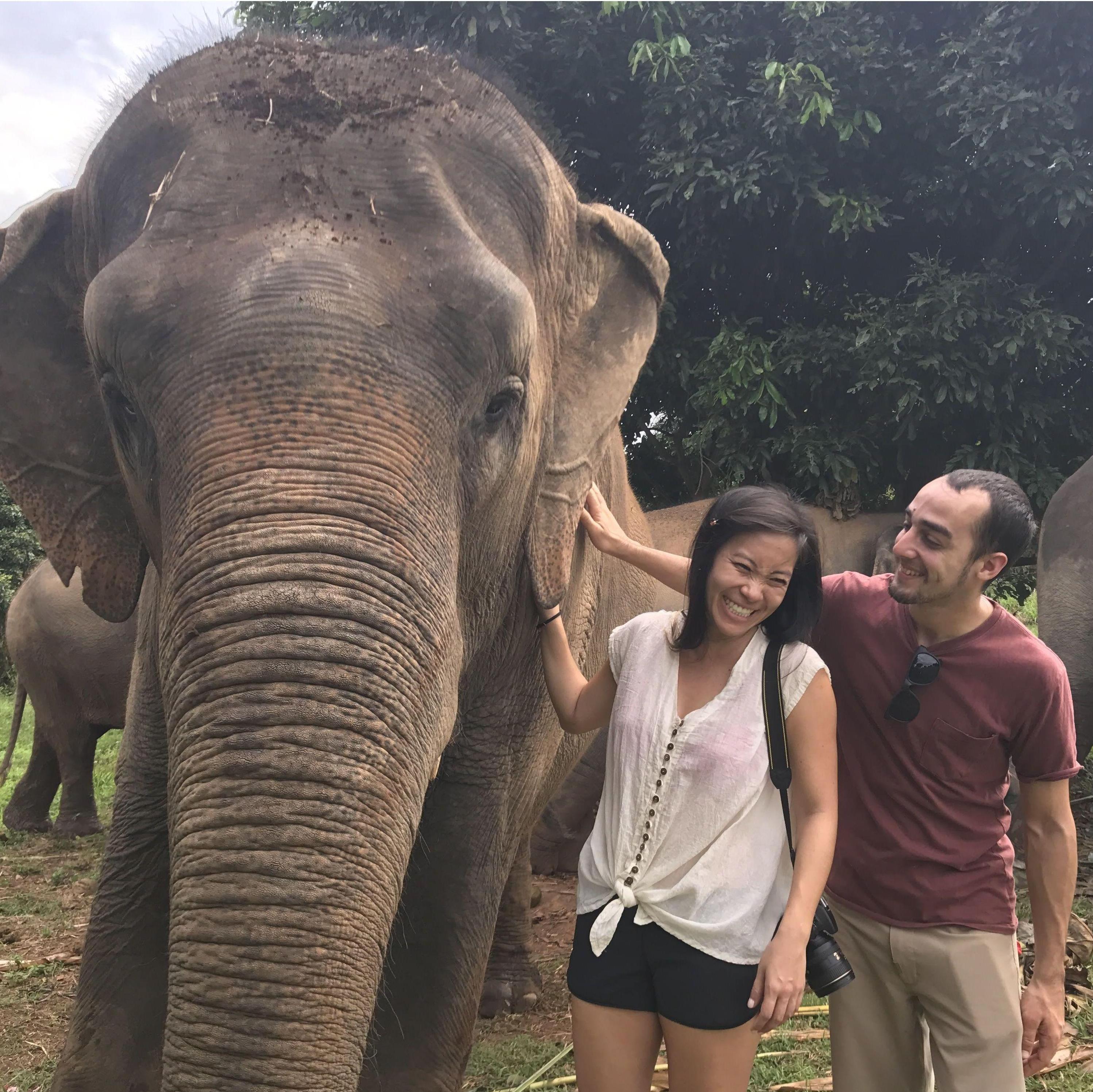 Knocking things off our bucket list: Elephant sanctuary in Thailand in 2017