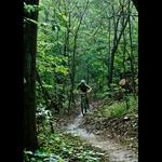 Biking Trails