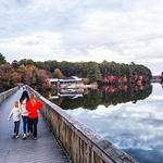 Lake Johnson Park