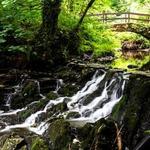 Dún a Rí Forest Park