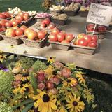 Saturday Morning Farmer's Market
