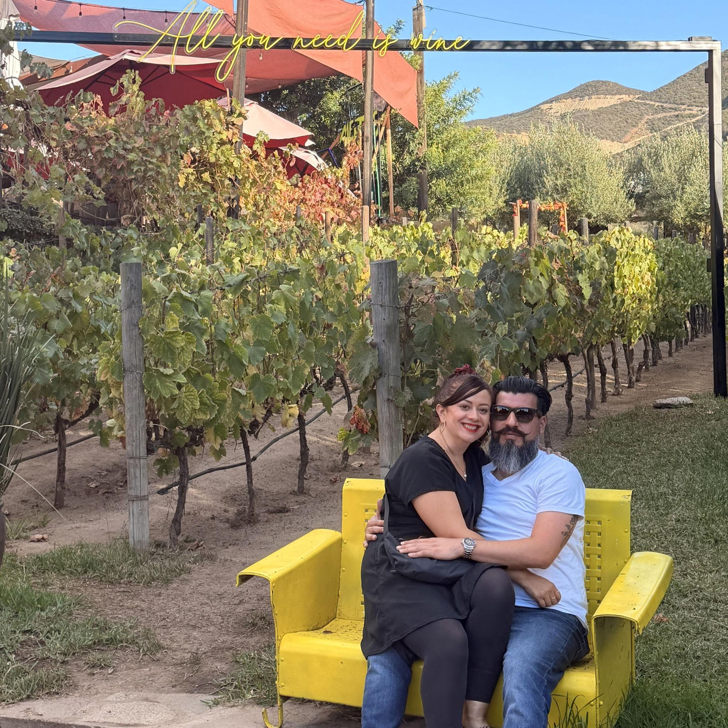 Sometimes, we go off the map and not follow a plan. Vinos LT is a little small winery with a great calm vibe!
