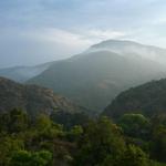 Topanga State Park - Hiking!