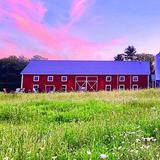 Eight Oaks Farm Distillery