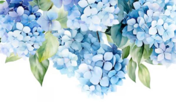 The Wedding Website of Kiley Hubbard and Richard Cardwell